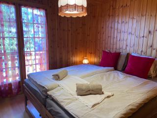 Chalet Rustique à La Tzoum' - 1