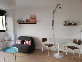 Appartement '' L'Ossau '' hyper centre Place Clémenceau - 2