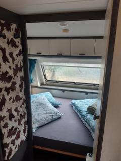Petit Vessas naturestay - Roquebrun - 4