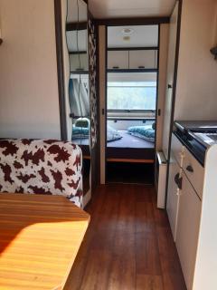 Petit Vessas naturestay - Roquebrun - 3