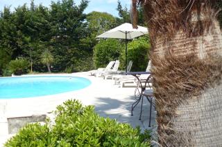 Prime Rose - Saint-Aygulf - 3