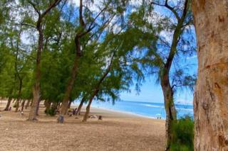 Le Ti Mimosa - Lagon - Saint-Leu - 0