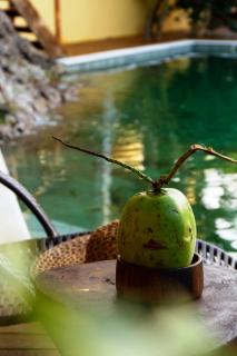 Villa Botanic Garden - 7