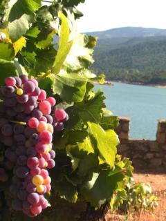 ISLA DEL BURGUILLO - 3