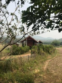 บ้านต้นน้ำแม่ทา - - 4