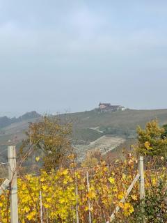Cascina Boschetti - Barolo - 4
