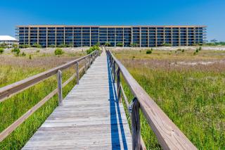 Holiday Isle 413 - Dauphin Island - 6