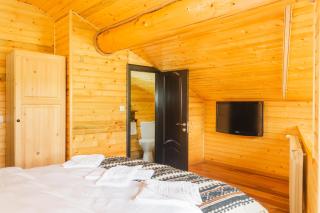 Chalet Ciocanesti - Ciocăneşti - 3
