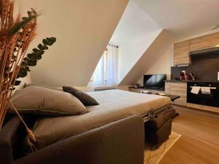 Appartement Centre-ville / 6 prsn / Bord du doubs / Au pied de la citadelle - Besançon - 1