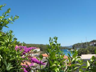 Guest House Roza - Vrboska - 0