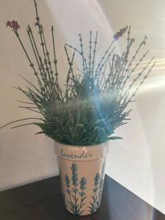 Lavender Cottage - 4