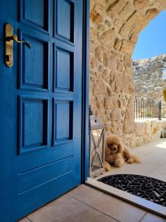 Villa Toscana - Charming stone Villa with private pool & garden - Grižane - 6
