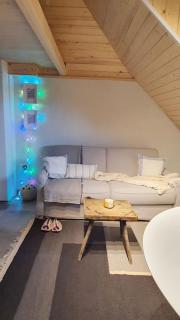 ZAGA SELF-SERVICE apartment - Cajetina - 4