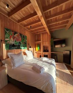 Cabanes avec jacuzzi les pieds dans la vignes - - 5