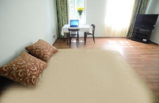 Centre Apartament on Dudaeva street - Lviv - 9
