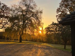 Paul's Farmhouse - Hawkhurst - 7
