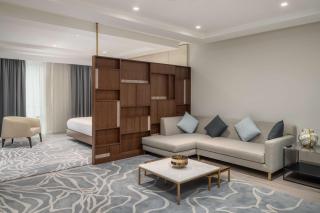 Radisson Hotel & Residences Erbil - Erbil - 6