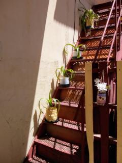Casa Samachiy - Humahuaca - 7