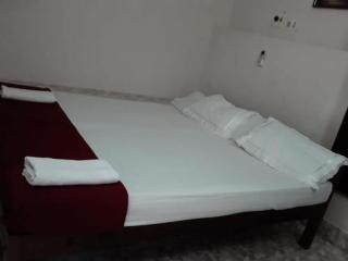 Luxury pool villa kovalam - 0