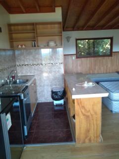 Departamentos y Cabañas tres espinos altos - Valdivia - 6