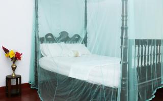 Lion Shade Homestay - Katugastota - 5