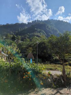 Roshani Guest House and Restaurant Ngadi Bazar - Ghanpokhara - 9