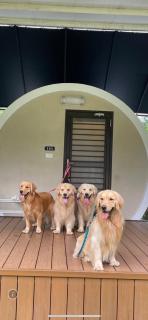 Star & Moon GUEST HOUSE - Puli - 4