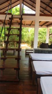 Forest Edge Bungalow - Wilpattu - Radagama - 2