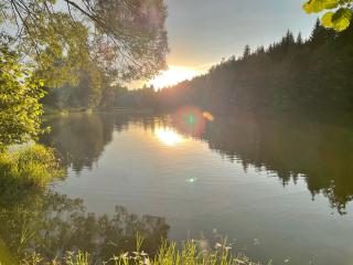 Nature Center Údolí volavek - Bezdružice - 2