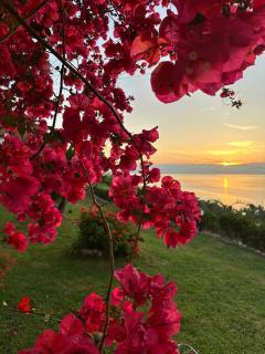 Ionian Sea View Studios by Hotelius - 9