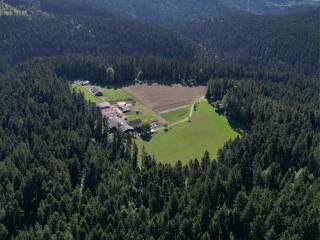 Blockhaus Almhütte Wiesenglück - 4
