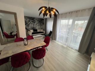 Le Cannois, Appartement de star 3 chambres - Mulhouse - 7