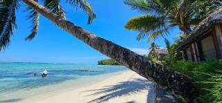 KINTANA LODGE - Ile aux Nattes - 0