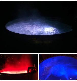 Domek Regionalny- bliźniak - 6