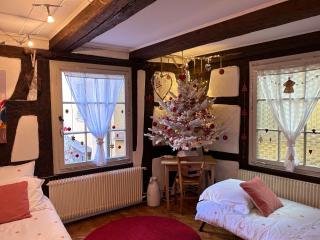 Gîte Au Fil Du Temps - Colmar - 8