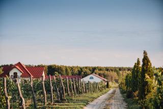 Winnica Mozów - - 0