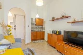 Cenisia District : Bright Sunflower Mini Flat - Torino - 9