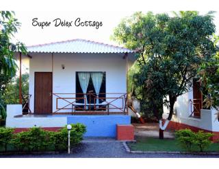Glorious Gir Resort, Bhojde, Junagadh - Sasan Gir - 6