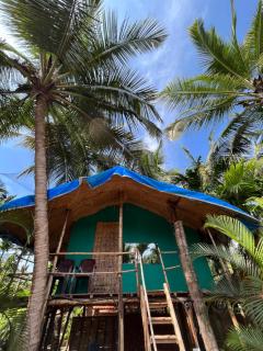 Hobknob, Goa - hostel with a pool - - 5