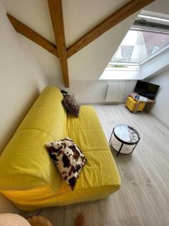 Esprit Jaune - Cosy studio Salengro - Sauna & Sport club - 7