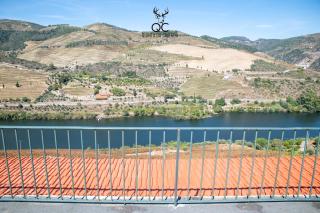 Quinta da Coitada - Alojamento Local - Soutelo do Douro - 2
