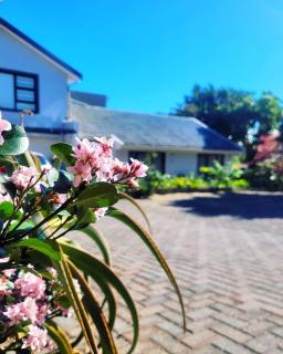 Suite 14- Deja' Blu Bed and Breakfast- East London - East London - 9