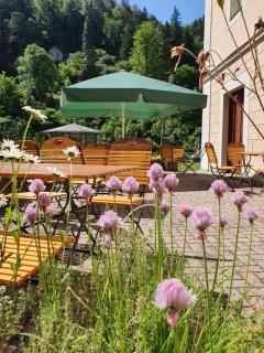 Pension Villa Anna - Bad Schandau - 9