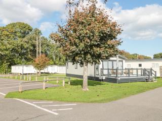 The Olive Lodge, 227 Sycamore - New Milton - 9