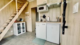 Tiny house proche de Morgat - 7