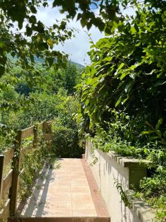 GS4 DUPLEX 4 PERS TERRASSE 5mn LUZ 15mn ARDIDEN - 7