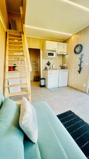 Tiny house proche de Morgat - Crozon - 8