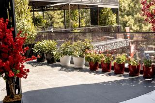 Hotel Univers - 5