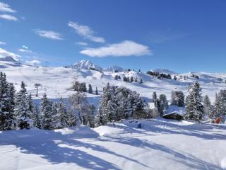 Appartement chaleureux 5 pers, accès pistes, balcon, WIFI, animaux admis - FR-1-181-2098 - La Plagne Tarentaise - 2