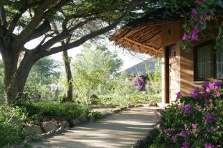 Kia Lodge - Arusha - 4